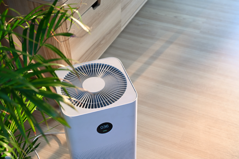 Air purifier with plant -